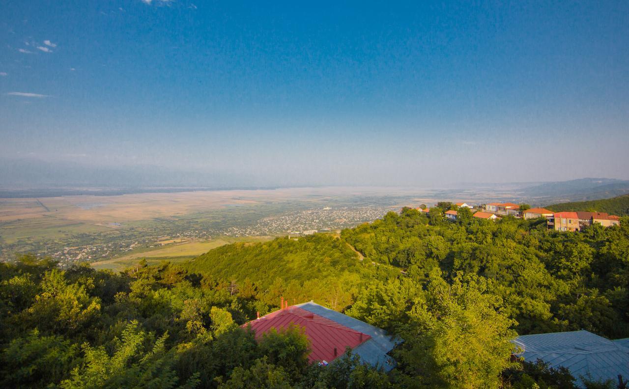Boutique Hotel Bellevue Sighnaghi Luaran gambar